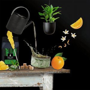 té verde persiano del Gilan con fiori di arancio