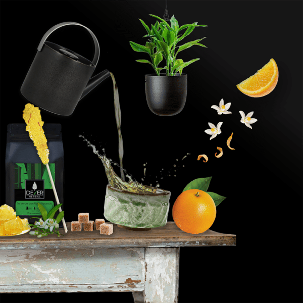 té verde persiano del Gilan con fiori di arancio