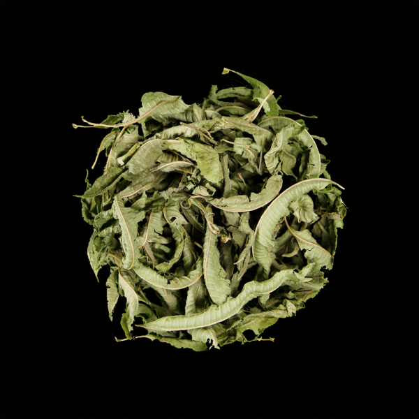 Tisana alle foglie di Verbena Dever Persia
